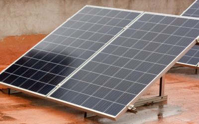 Habitation : à la croisée des chemins entre confort et durabilité