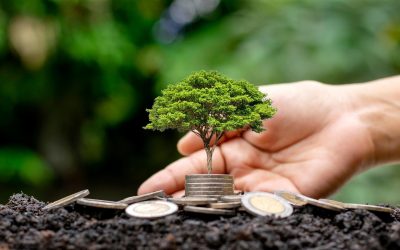 Investir pour un avenir financier plus solide : Conseils et stratégies efficaces à connaître dès aujourd’hui