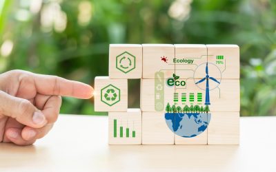 Investissement : Comment faire fructifier son argent intelligemment