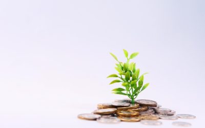Comment investir intelligemment : Un guide complet pour faire fructifier votre argent