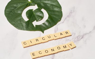 Investir intelligemment : Comment faire fructifier votre argent avec stratégie et expertise