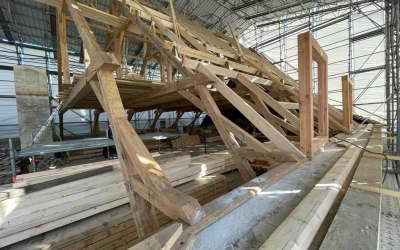 Habitat éco-responsable: chiffres, matériaux, intelligence artificielle et solutions concrètes 2024