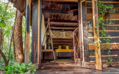 Habitation éco-responsable, innovations mesurées pour consommer moins et construire durablement