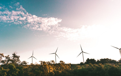 Logement sobre 2024 : innovations et gestes clés pour économiser plus