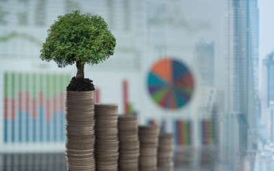 Investir en crowdfunding immobilier : tendances 2024, risques et stratégies gagnantes